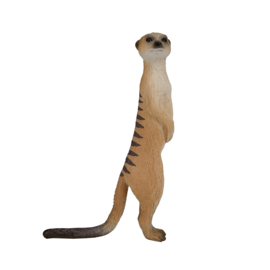 Meerkat  Mojo 387125