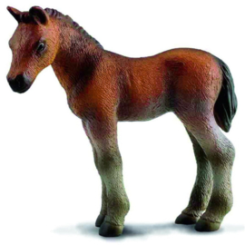 Thoroughbred foal CollectA 88244