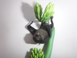 Bonin Vliegende hond  Kitan Club