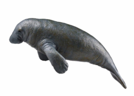 Manatee Recur