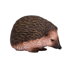 Egel  Mojo 387035
