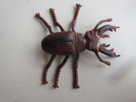Stag beetle type 2 Levenscyclus