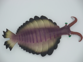 Anomalocaris