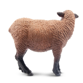 Brown Ewe  Toymany