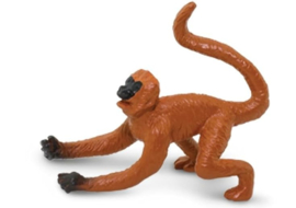 Spidermonkey  mini  safari