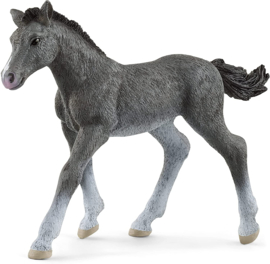 Trakehner foal Schleich 13944