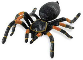 Tarantula  S542006