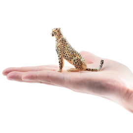 Cheetah vrouwtje zittend Toymany