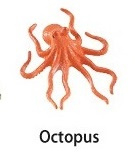 Octopus  mini