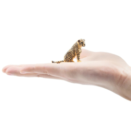 Cheetah welp  Toymany