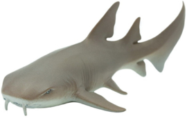 Verpleegsterhaai   S200629