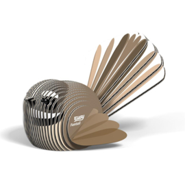 Fantail  Eugy 3D