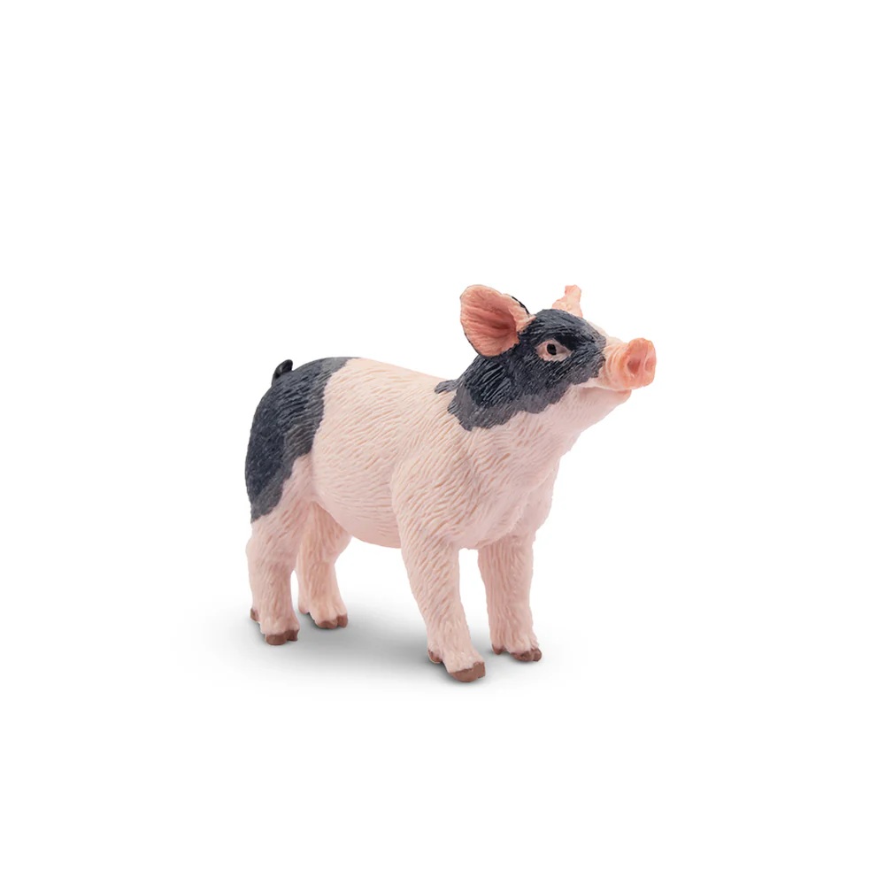 Pietrain Piglet  Toymany