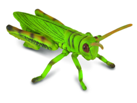 Grasshopper    CollectA 88352