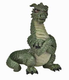 Grumpy dragon S10137