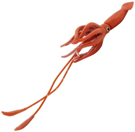 Reuzen inktvis S277829