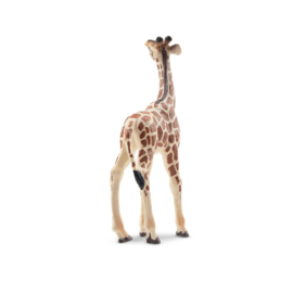 Giraffe  kalf  Toymany