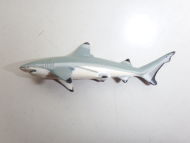 Blacktip reef shark  2e hands