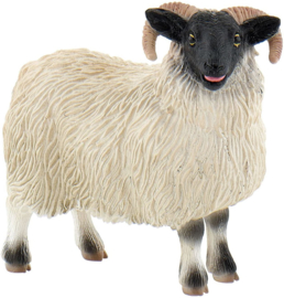 Scottish blackface sheep  Bullyland 62718