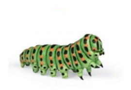 Caterpillar Papo 50266