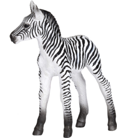 Zebra veulen Mojo 387394