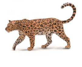 African leopard CollectA 88866