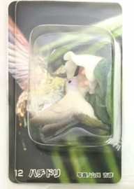Kolibri  Kabaya Amazon Animals