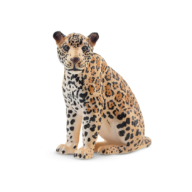 Jaguar Sitting Female  Toymany