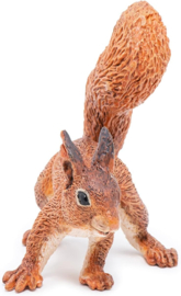 Squirrel Papo 50255