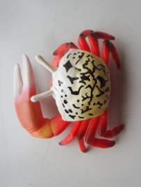 Wink crab