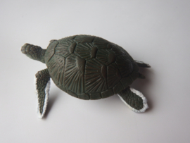 Zeeschildpad groen medium