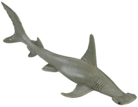 Hammerhead Shark  S274829