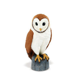 Barn Owl   S150029