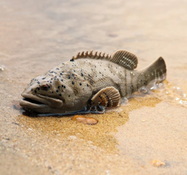 Grouper