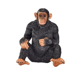 Chimpansee  Mojo 387265