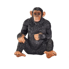 Chimpanzee  Mojo 387265