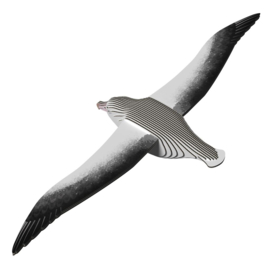 Albatros  Eugy 3D