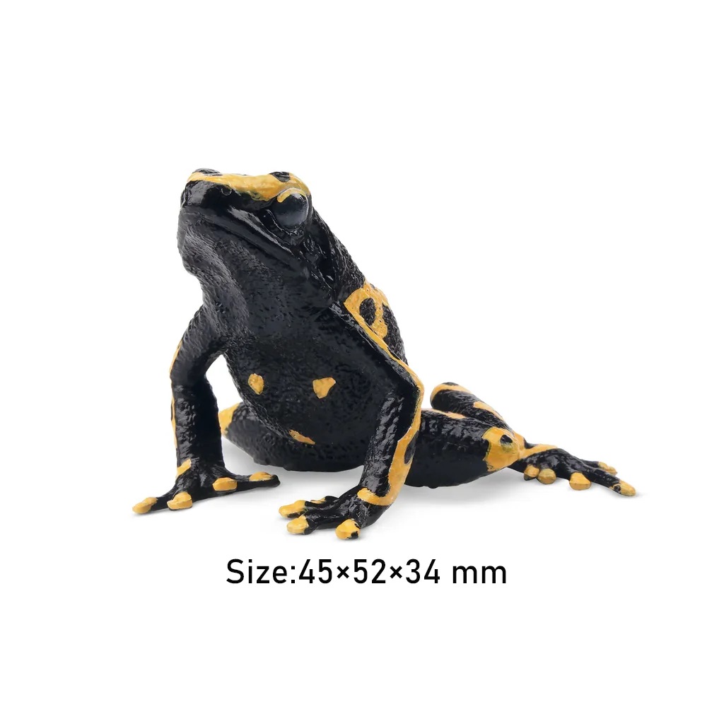 Yellow banded poison dart frog Toymany