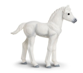 Palomino foal S 150605