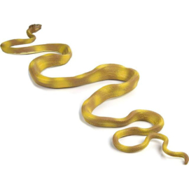 Amazone boomboa  S257629