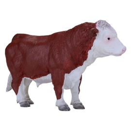 Hereford bull   Mojo 381073