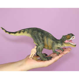 Tyrannosaurus Rex  CollectA 88251