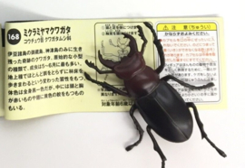 Stag Beetle (Lucanus gamunus)  Kaiyodo