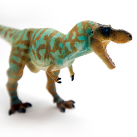 Albertosaurus S 100740