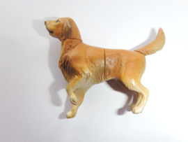 P12  Golden retriever