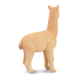 Male Alpaca Toymany