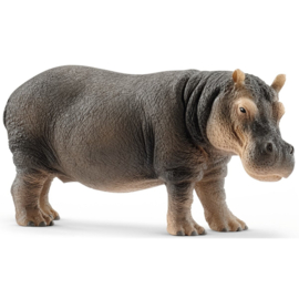 Hippopotamus  Schleich  14814