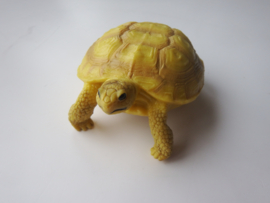 Landschildpad XL