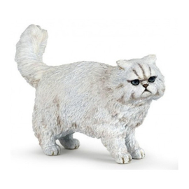 Persian cat Papo 54042