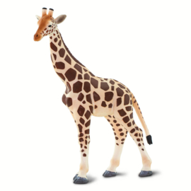 Giraffe S100421